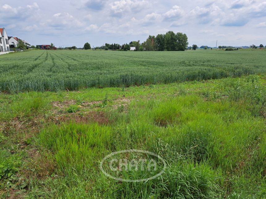 Wierzbice, 6 580 000 zł, 4.7 ha, przyłącze prądu - zdjęcie 1