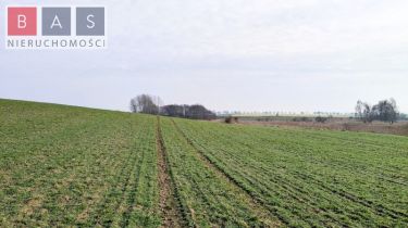 Zamęcin, 89 000 zł, 2.2 ha, rolna
