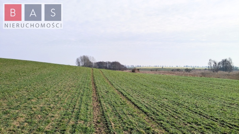 Zamęcin, 89 000 zł, 2.2 ha, rolna - zdjęcie 1