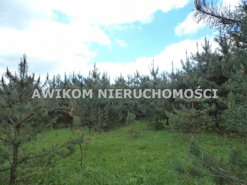 Owczarnia, 355 000 zł, 71 ar, inwestycyjna miniaturka 2