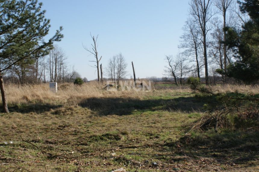 Moszowice, 60 000 zł, 15 ar, droga dojazdowa gruntowa miniaturka 3