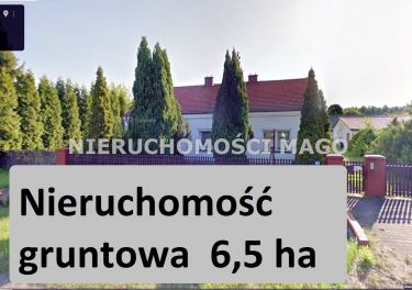 Grunt 6,5 ha z budynkami- Czarny Las k/Częstochowy