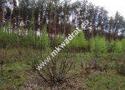 Piękna działka przy lesie, Czarny las 2769m2 miniaturka 10