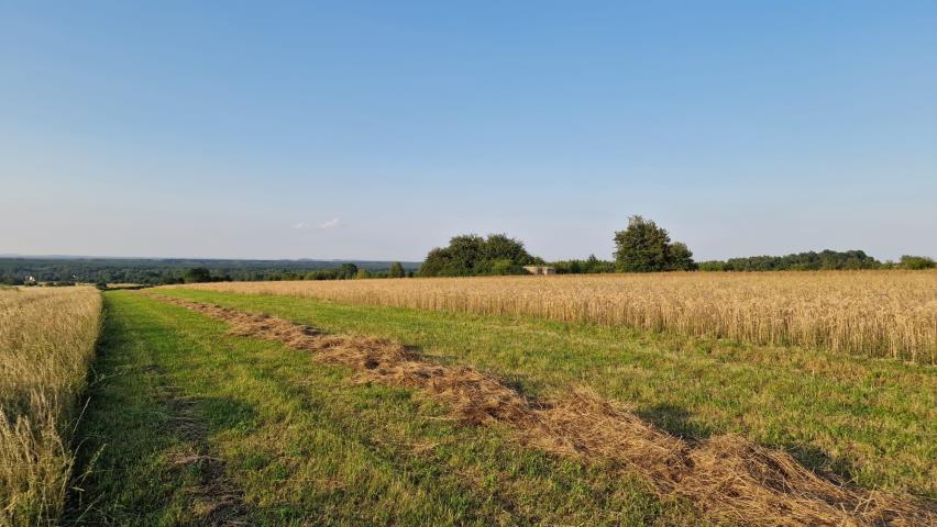 Zawada, 190 440 zł, 10.58 ar, przyłącze wodociągu miniaturka 7