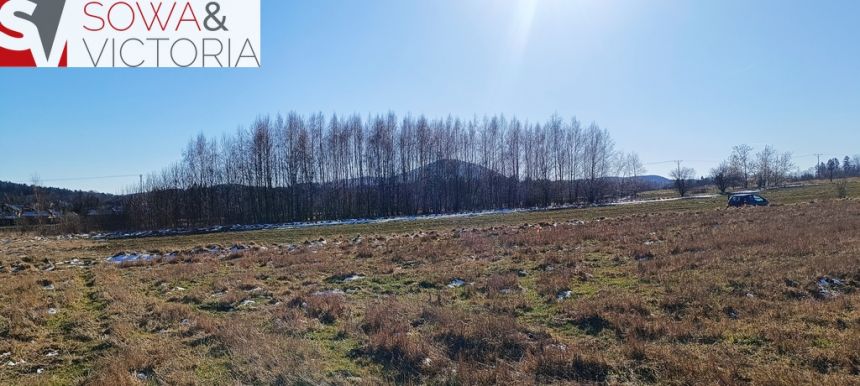 Słoneczna działka budowlana w  Szczawnie Zdroju miniaturka 7
