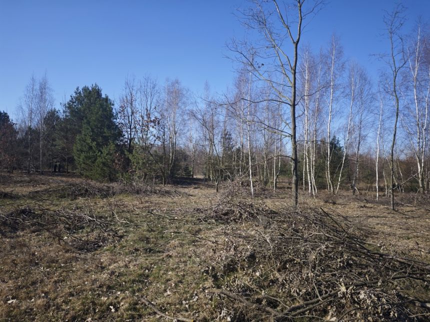 Borzęcin Mały, 430 000 zł, 10 ar, droga dojazdowa gruntowa miniaturka 7