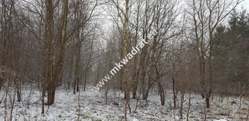 Działka z planem zagospodarowania miniaturka 4