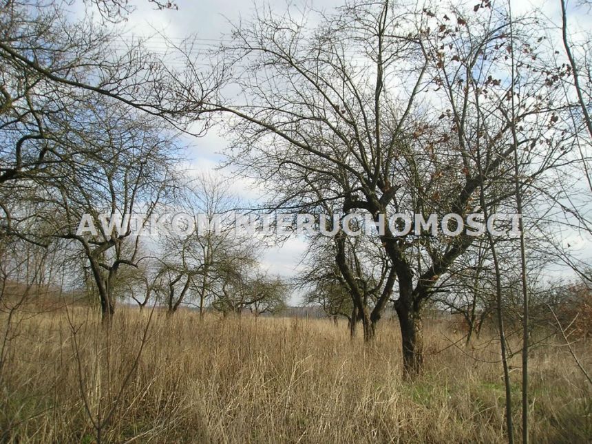 Budowlano-rolna 1,65 h z możliwością kupna do 5 h miniaturka 3