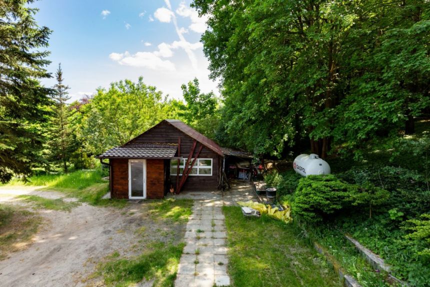 Góra, 1 299 000 zł, 330 m2, ogrzewanie gazowe miniaturka 25
