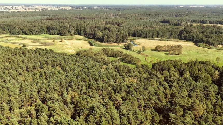 Działka budowlana w Strumianach - bliskość natury miniaturka 10