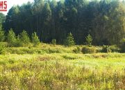 Koplany, 279 500 zł, 2 ha, rolna miniaturka 3