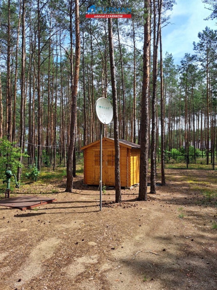 działka zabudowana drenianym dom w Białej miniaturka 3