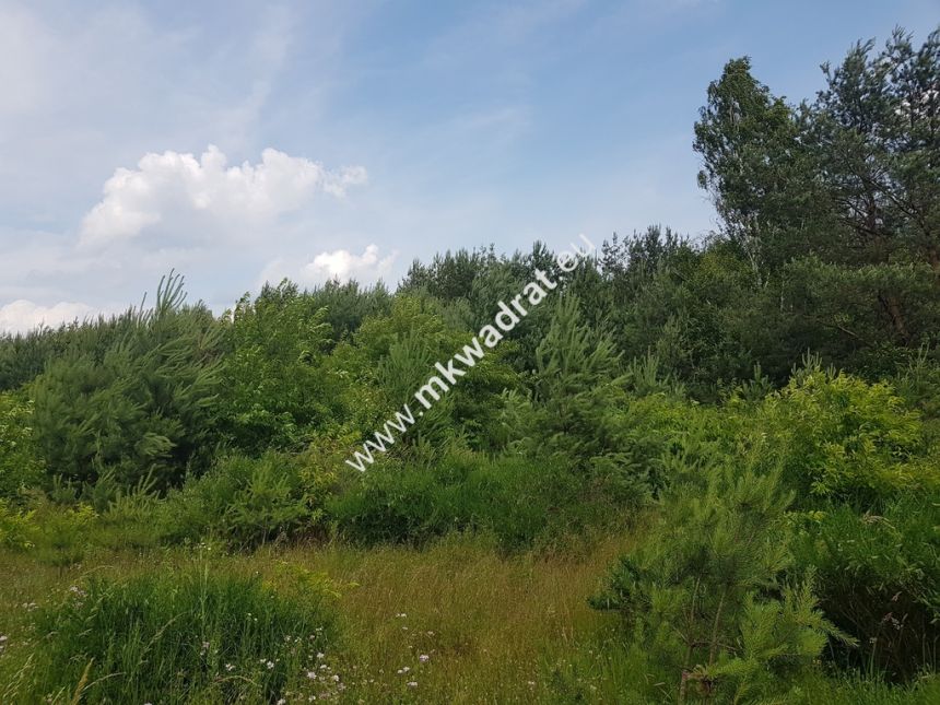 Działka 4000  m²  - usługowo-budowlana MPZP! miniaturka 4