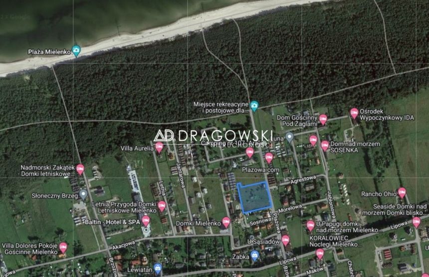 Działka inwestycyjna pod aparthotel nad morzem. miniaturka 9