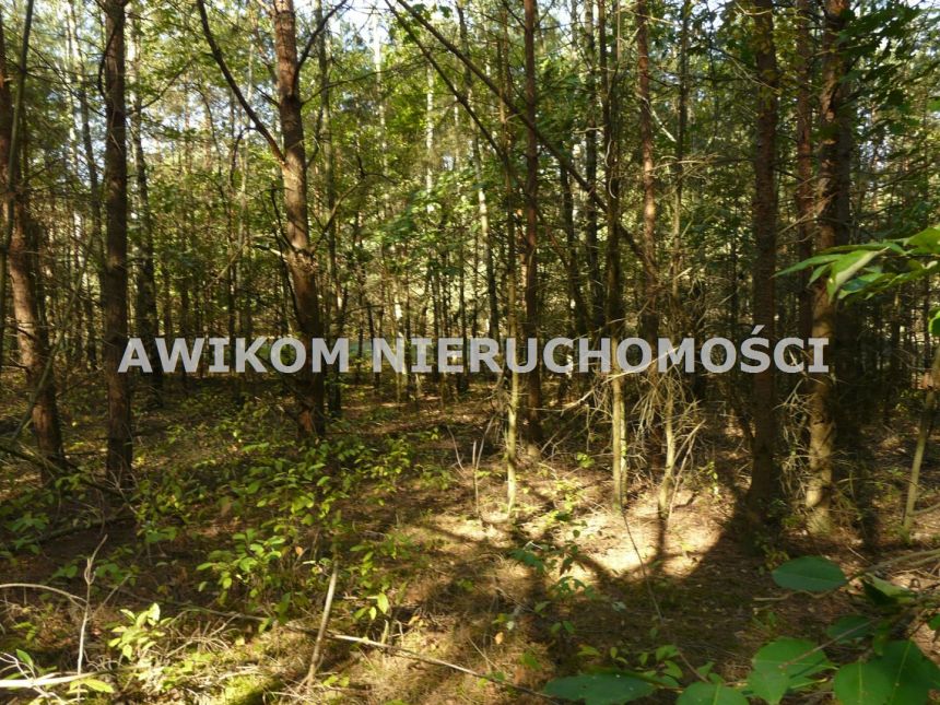 Przewodowice, 299 214 zł, 1.66 ha, woda w drodze miniaturka 11