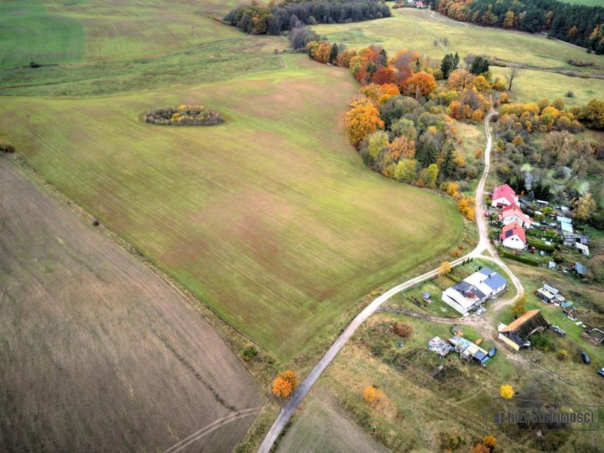 Działki budowlane na kolonii. Parsęcko. miniaturka 10