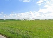 działka budowlana 9000m2 Gardno gm. Gryfino miniaturka 6