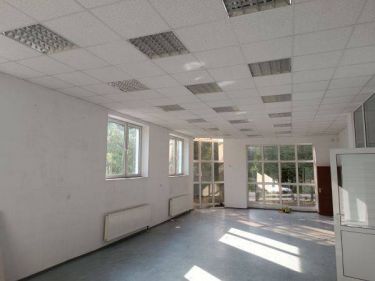 Obiekt  na wynajem, Przeźmierowo, , 12000.00 PLN