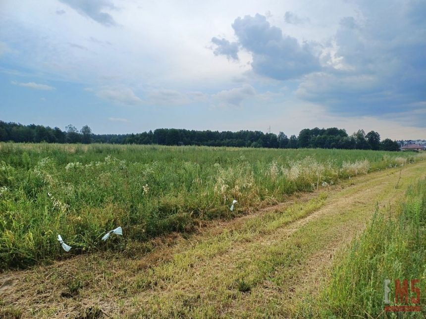 Solniczki, 560 000 zł, 28 ar, prostokątna miniaturka 5