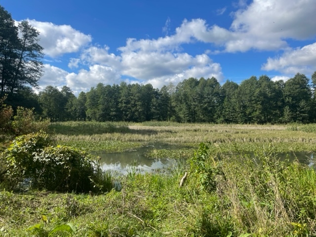 Budowlana 2,6 ha nad Bugiem 30 km od Warszawy miniaturka 10