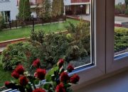 2-pokojowe mieszkanie na Ursynowie miniaturka 3