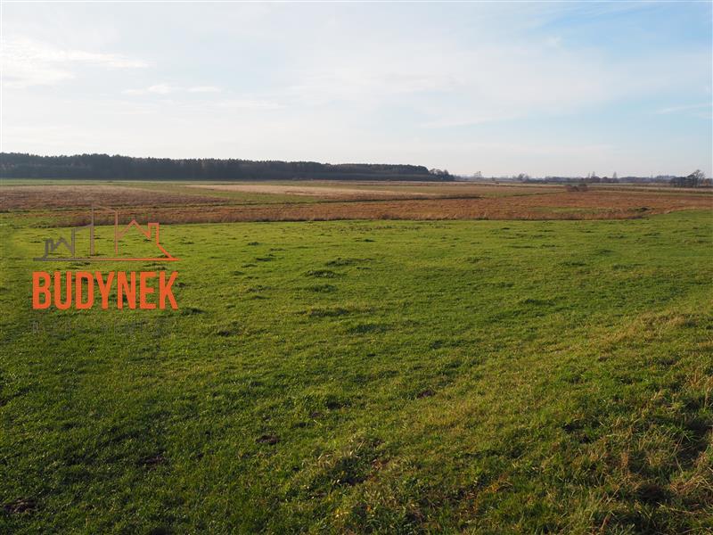 Działka rolna - Krupy miniaturka 7