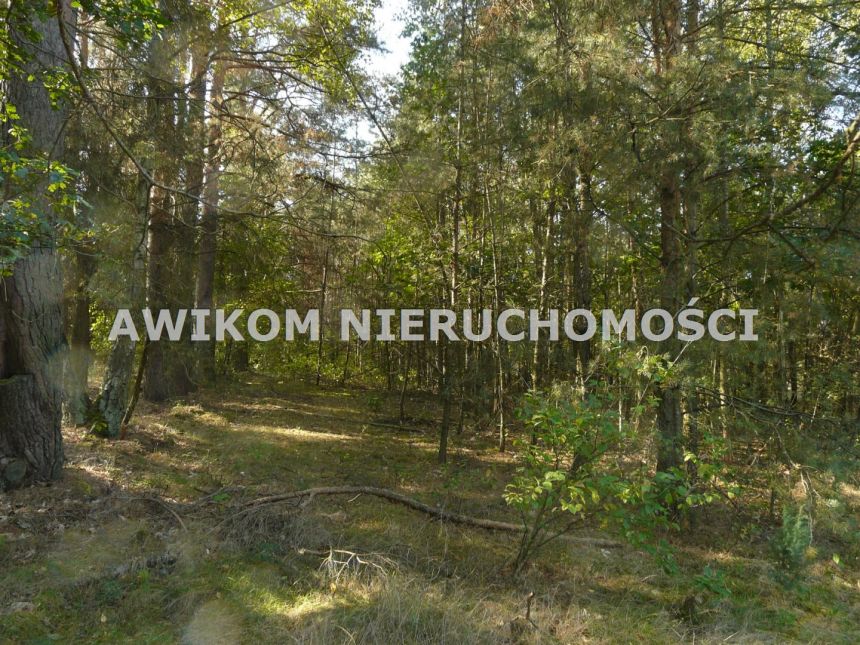 Przewodowice, 299 214 zł, 1.66 ha, woda w drodze miniaturka 9