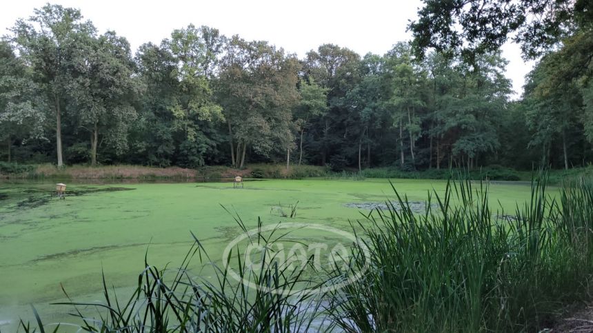 Jastrzębce, 3 608 570 zł, 5.16 ha, przyłącze prądu miniaturka 9
