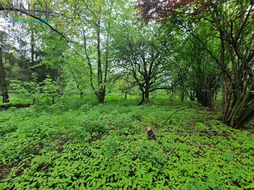 Dom wolnostojący 262m2 plus działka 2572m2 miniaturka 4
