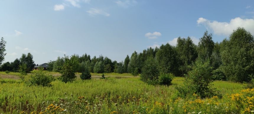 Borzęcin Duży, 880 000 zł, 38.9 ar, płaska miniaturka 4