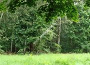 Działka Granica Blisko WKD Nowa Wieś miniaturka 1
