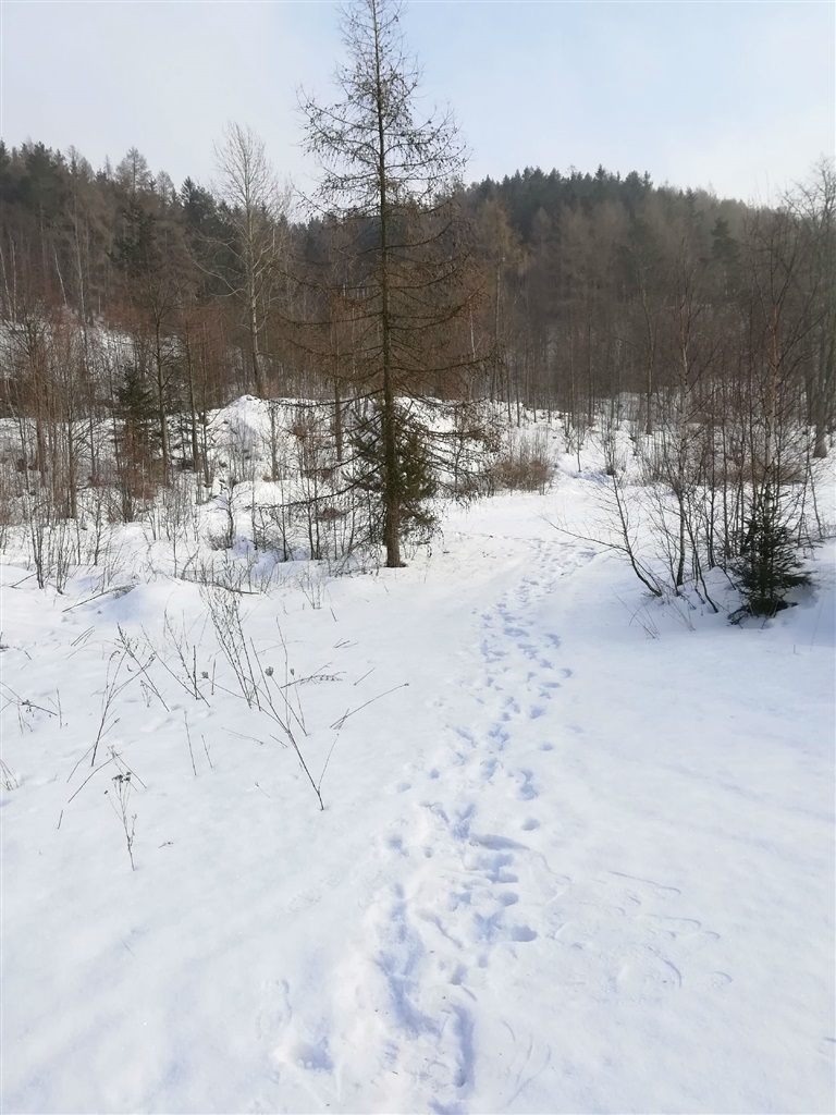 Działka na cele mieszkaniowe - Boguszów Gorce miniaturka 11