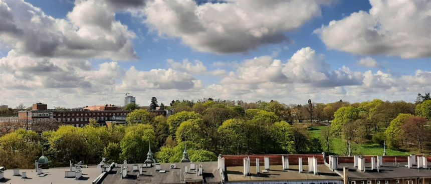 Szczecin Niebuszewo, 335 000 zł, 29.07 m2, umeblowane miniaturka 10