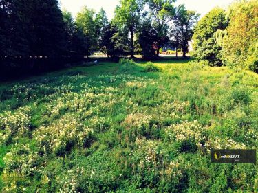 Pisanica, 110 000 zł, 12.22 ar, woda w drodze
