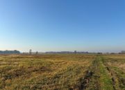 Ziemia rolna 2,71 ha koło Radzymina miniaturka 2