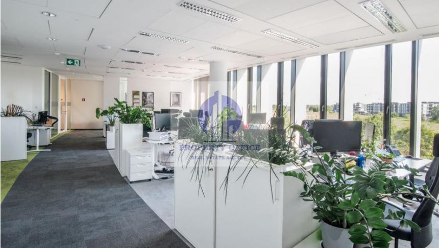 Wilanów:podnajem- biuro 925,92 m2 miniaturka 3