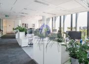 Wilanów:podnajem- biuro 925,92 m2 miniaturka 3