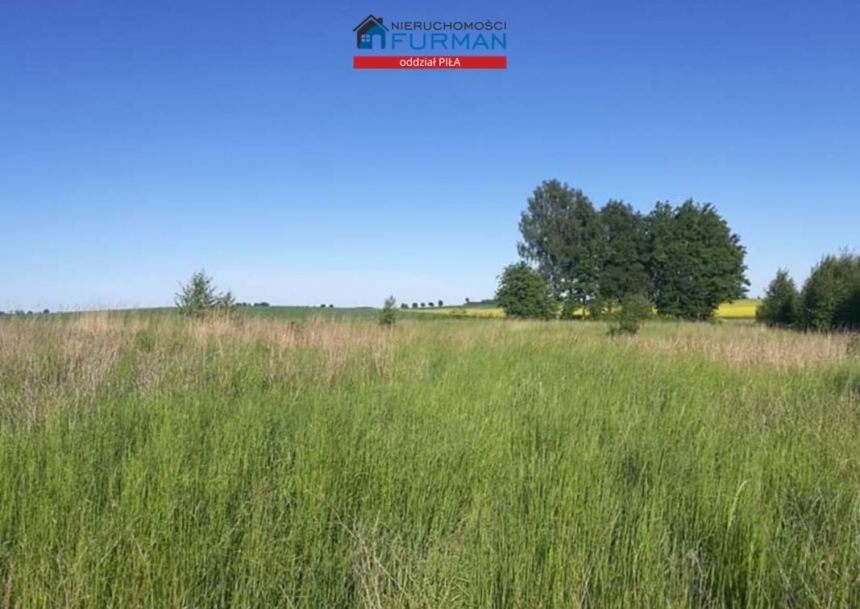 Działka 3600m w Dobinie, blisko jeziora miniaturka 12