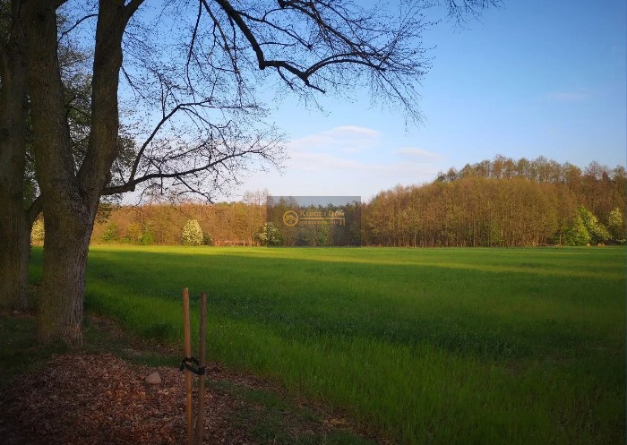 Rozalin, 8 000 000 zł, 6.11 ha, droga dojazdowa gruntowa miniaturka 3