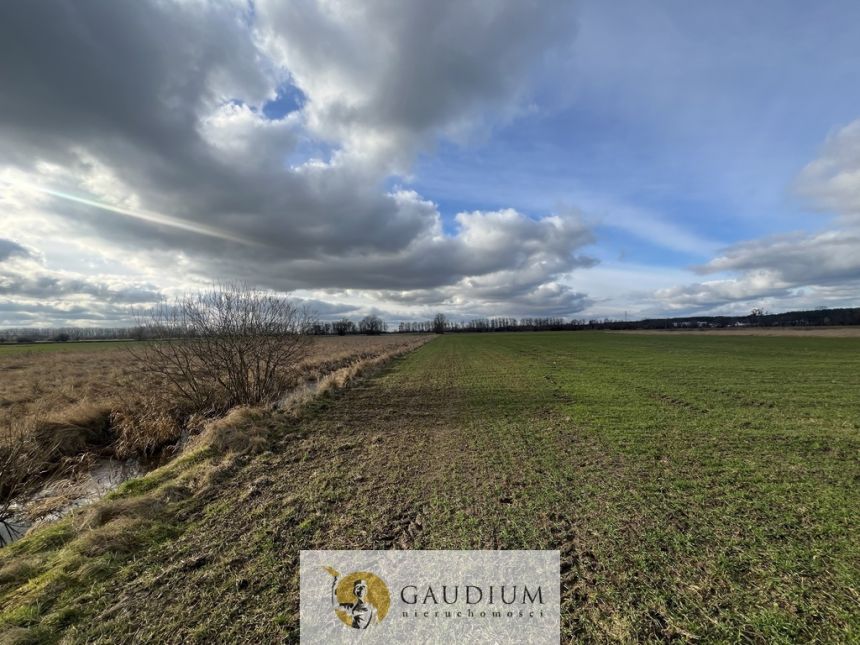 Działka 4600 m2 Sobieszewo ul. Uzdrowiskowa miniaturka 3