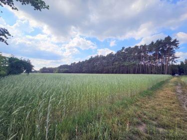 Działka z potencjałem podziału!