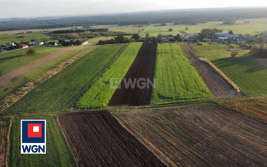 Brudzowice Szkolna, 390 000 zł, 150 m2, jednorodzinny miniaturka 11