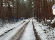 Idealne leśne zacisze Cisza Spokój Opcja podziału miniaturka 1