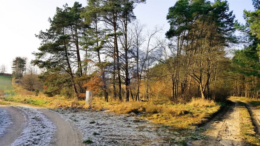 Działka budowlana własny las staw k jeziora - zdjęcie 1