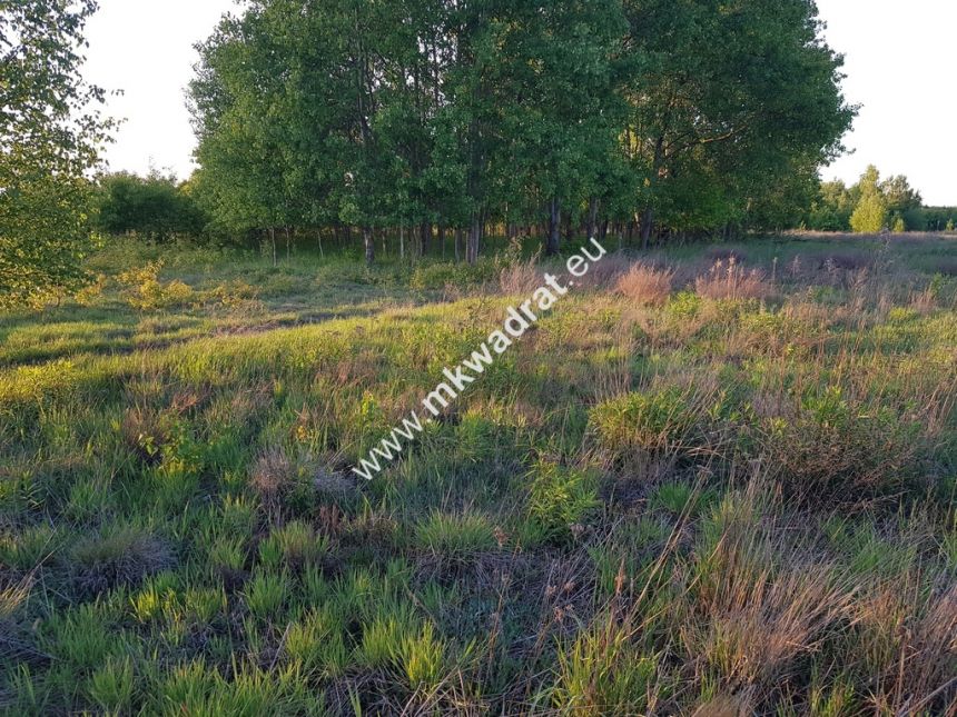 działka 800 m od szkoły miniaturka 3