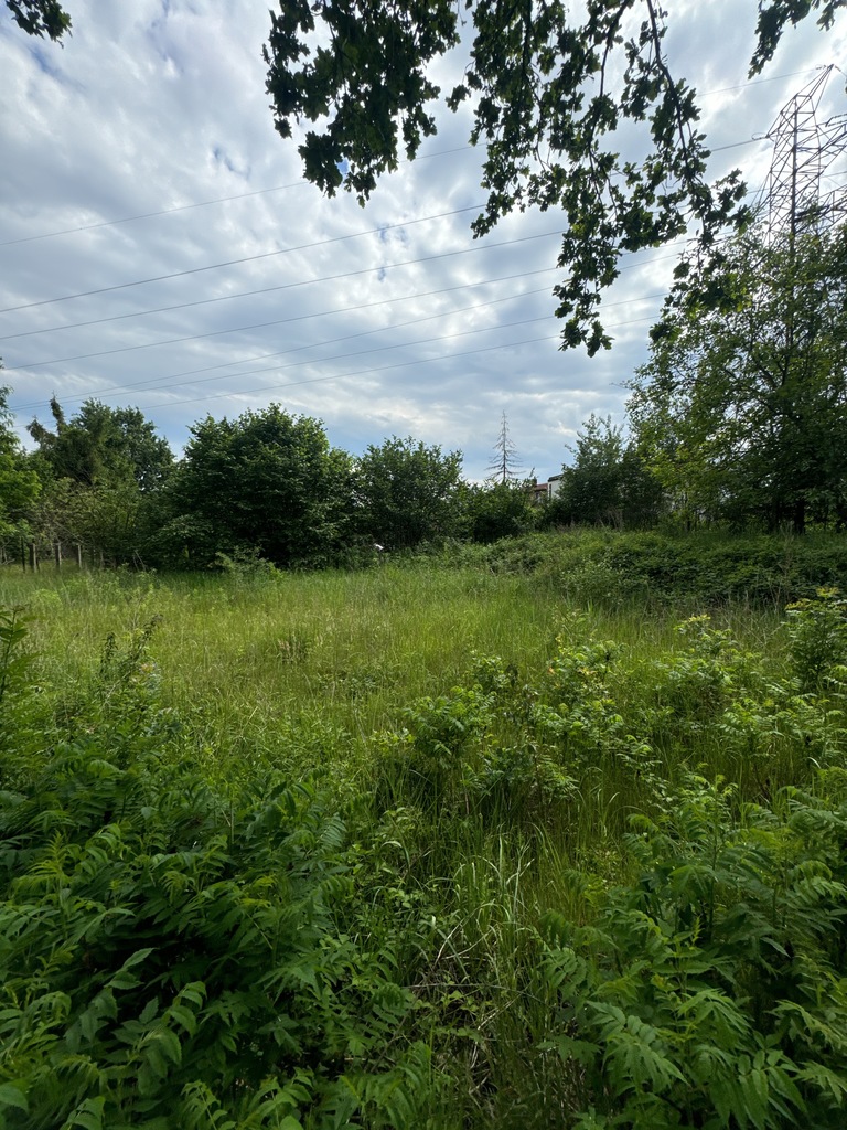 Zawiercie, Działka Budowlana 943m2, sz. 23,7m miniaturka 5