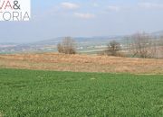 Piękna, otoczona lasem działka w Dobromierzu miniaturka 5