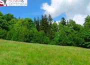Działka budowlana 3 km od Wałbrzycha miniaturka 9