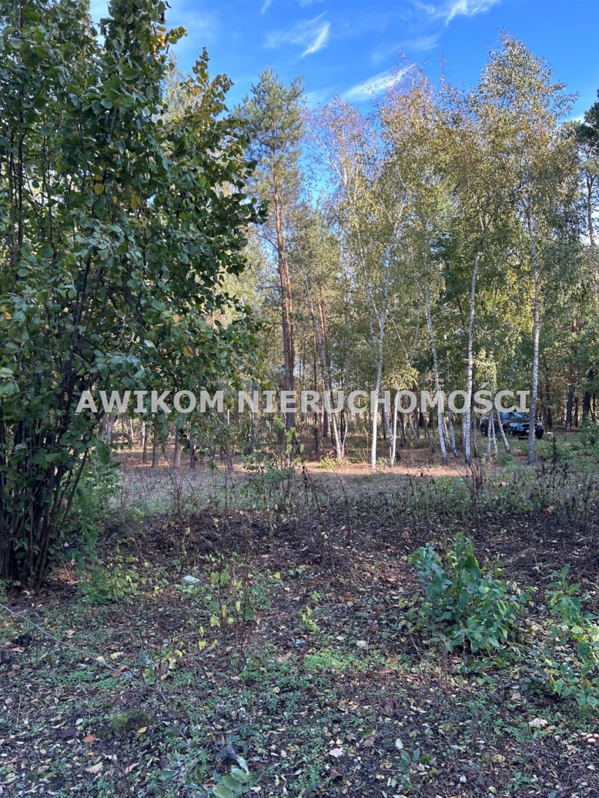 Wilczkowo, 225 450 zł, 30.06 ar, budowlana miniaturka 5