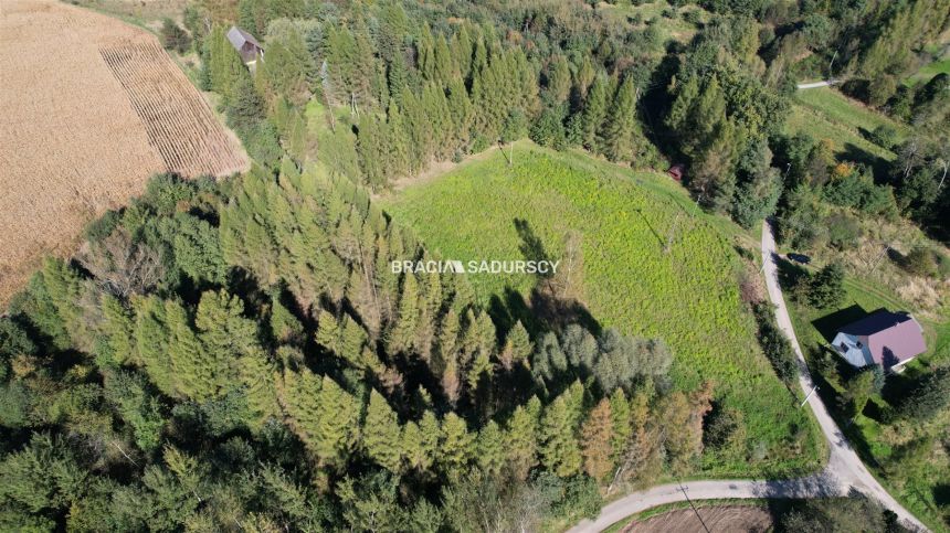 Działka budowlana 8900 m2 Poręba Żegoty miniaturka 2